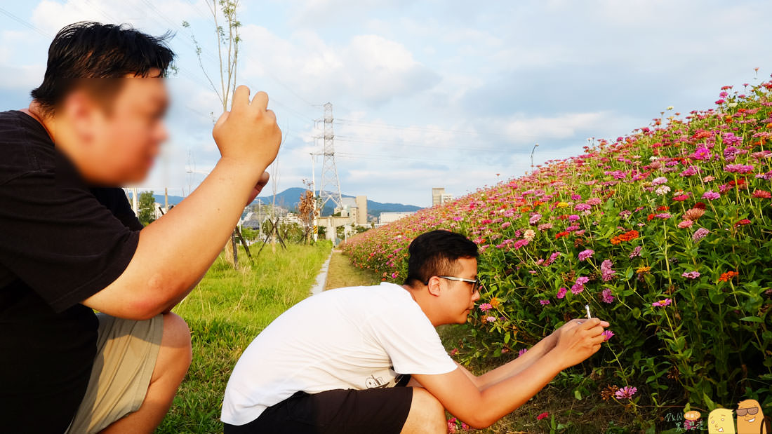 花海,台北