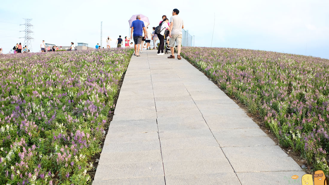 花海,台北