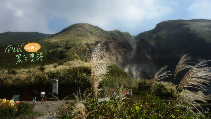 泡湯,陽明山,芒草,擎天崗,夢幻湖