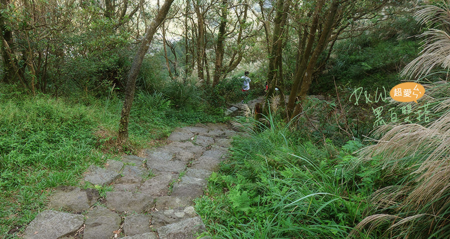 泡湯,陽明山,芒草,擎天崗,夢幻湖