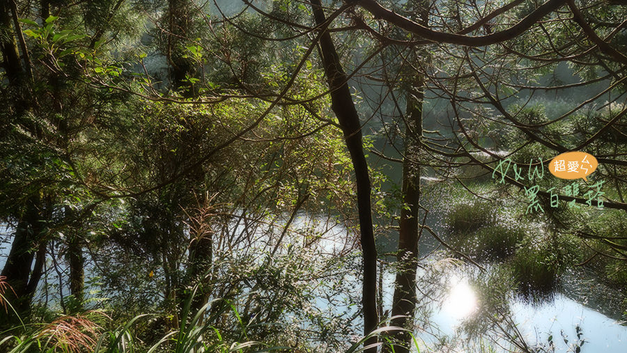 泡湯,陽明山,芒草,擎天崗,夢幻湖