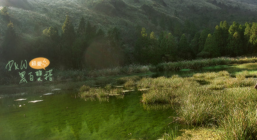 泡湯,陽明山,芒草,擎天崗,夢幻湖