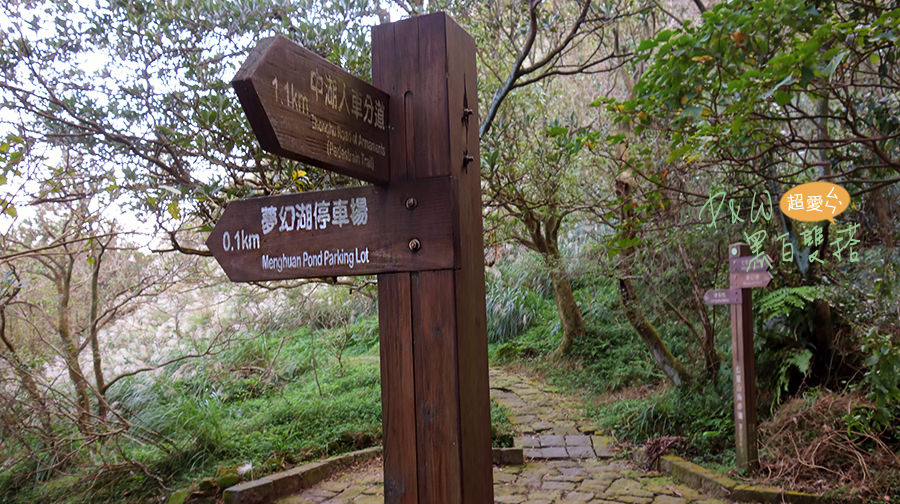 泡湯,陽明山,芒草,擎天崗,夢幻湖