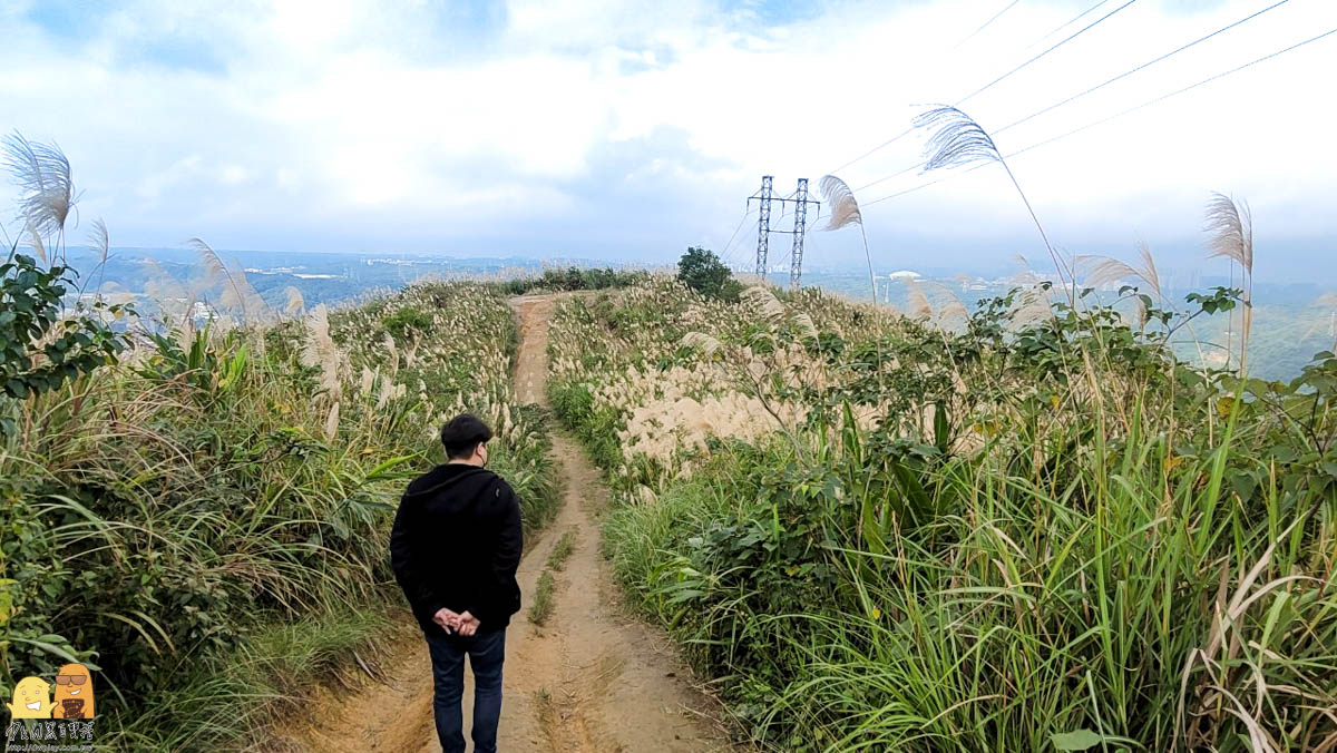 新北景點,新北景點推薦,迴龍捷運站