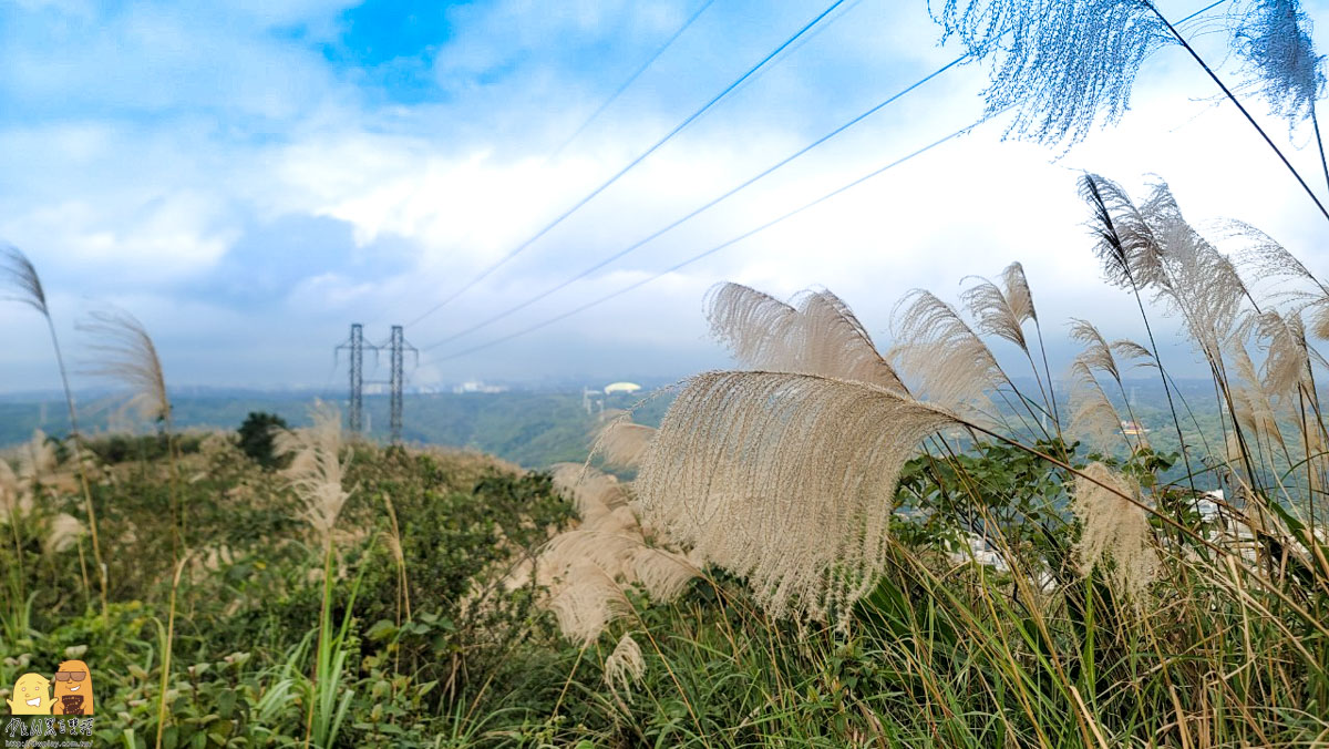 新北景點,新北景點推薦,迴龍捷運站