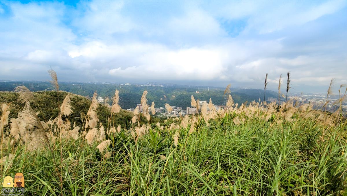 新北景點,新北景點推薦,迴龍捷運站