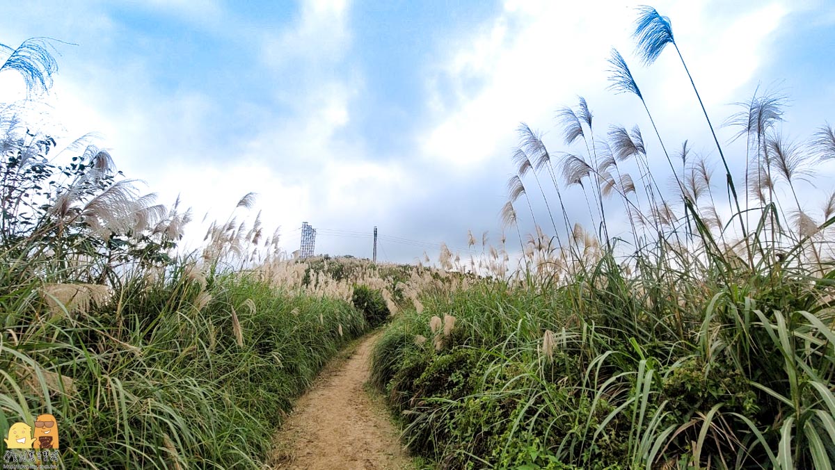 新北景點,新北景點推薦,迴龍捷運站