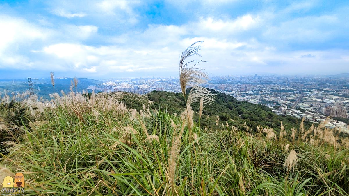 新北景點,新北景點推薦,迴龍捷運站