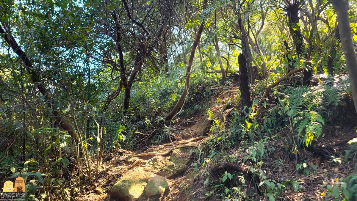 泡湯,新北景點,金山區,精選文章