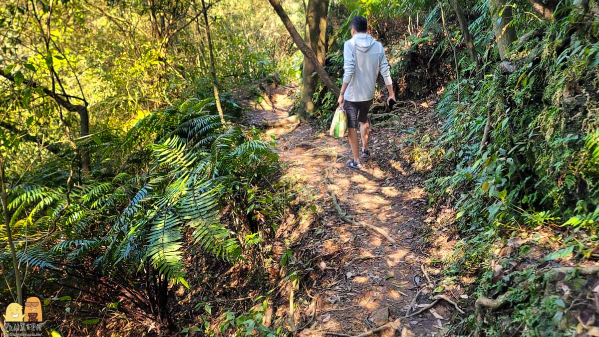 泡湯,新北景點,金山區,精選文章