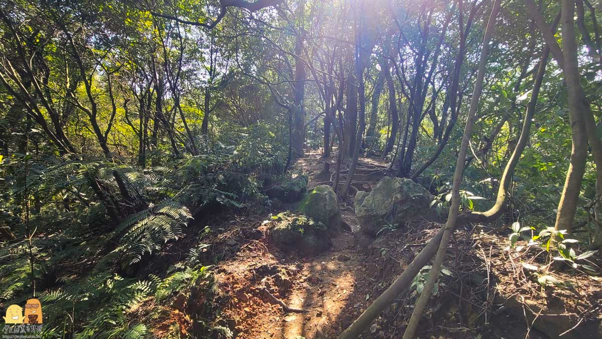 泡湯,新北景點,金山區,精選文章