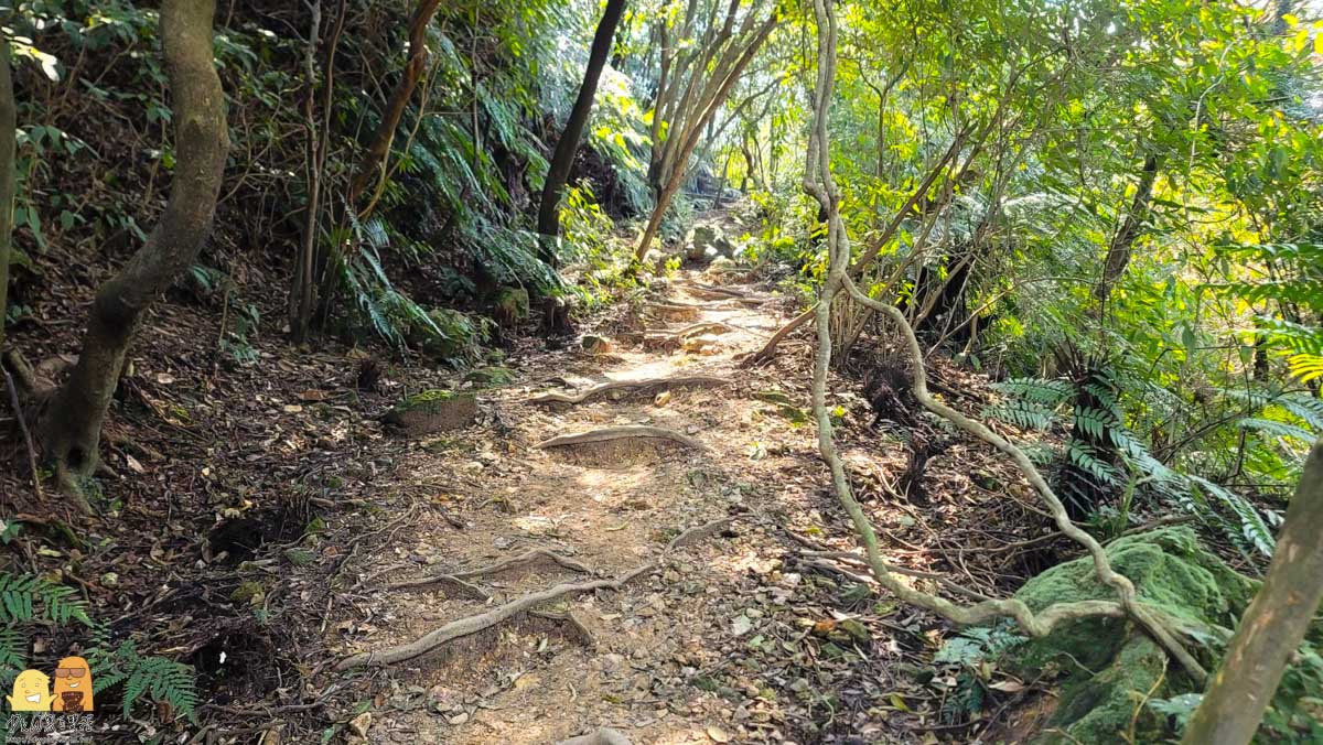 泡湯,新北景點,金山區,精選文章