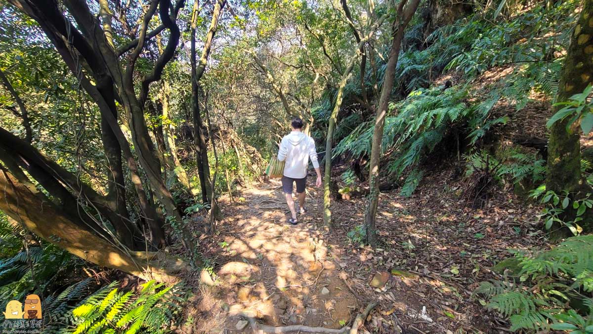 泡湯,新北景點,金山區,精選文章