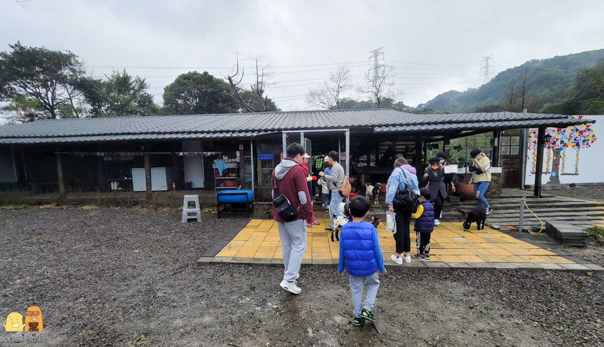 新北市親子景點,梅花鹿,棉花豬,餵小動物,新北景點推薦