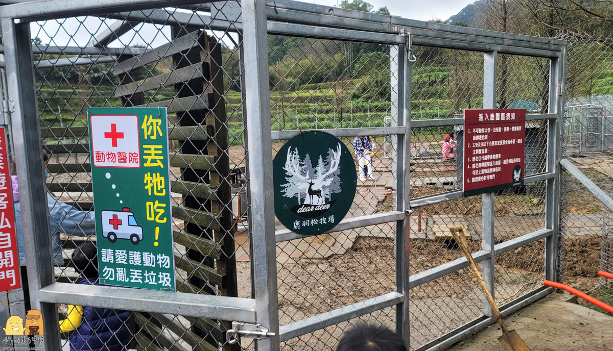 新北市親子景點,梅花鹿,棉花豬,餵小動物,新北景點推薦