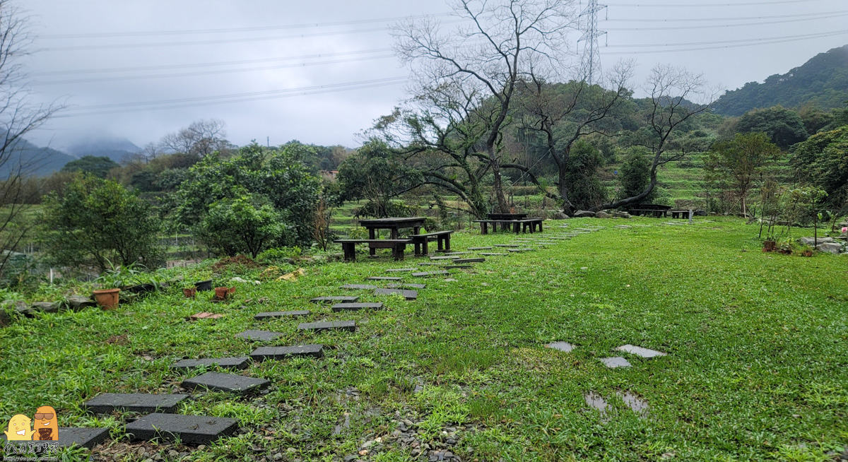 新北市親子景點,梅花鹿,棉花豬,餵小動物,新北景點推薦