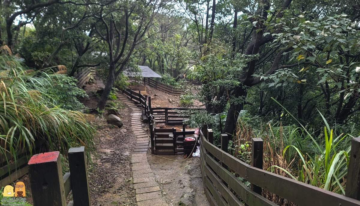 新北市親子景點,梅花鹿,棉花豬,餵小動物,新北景點推薦