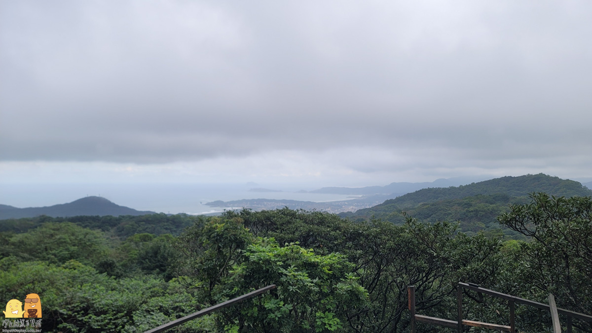 新北市親子景點,梅花鹿,棉花豬,餵小動物,新北景點推薦