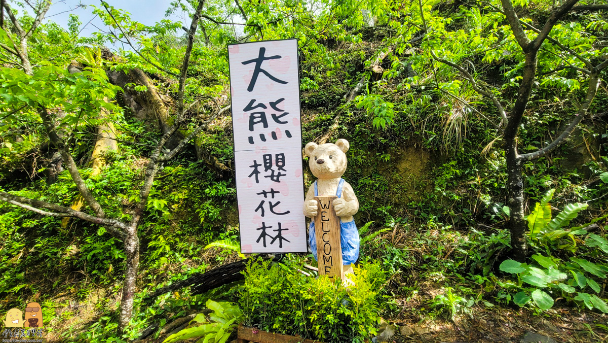 新北景點,三峽景點,免停車費,家人出遊,櫻花,毛小孩,約會,親子景點