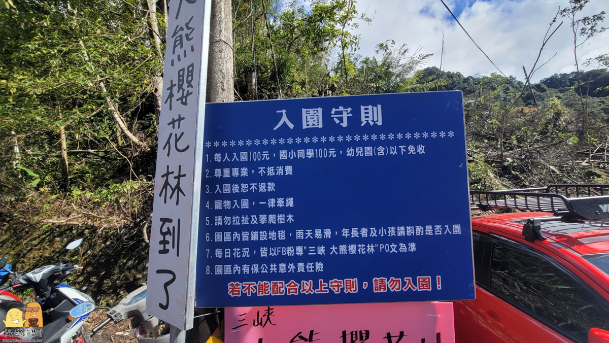 新北景點,三峽景點,免停車費,家人出遊,櫻花,毛小孩,約會,親子景點