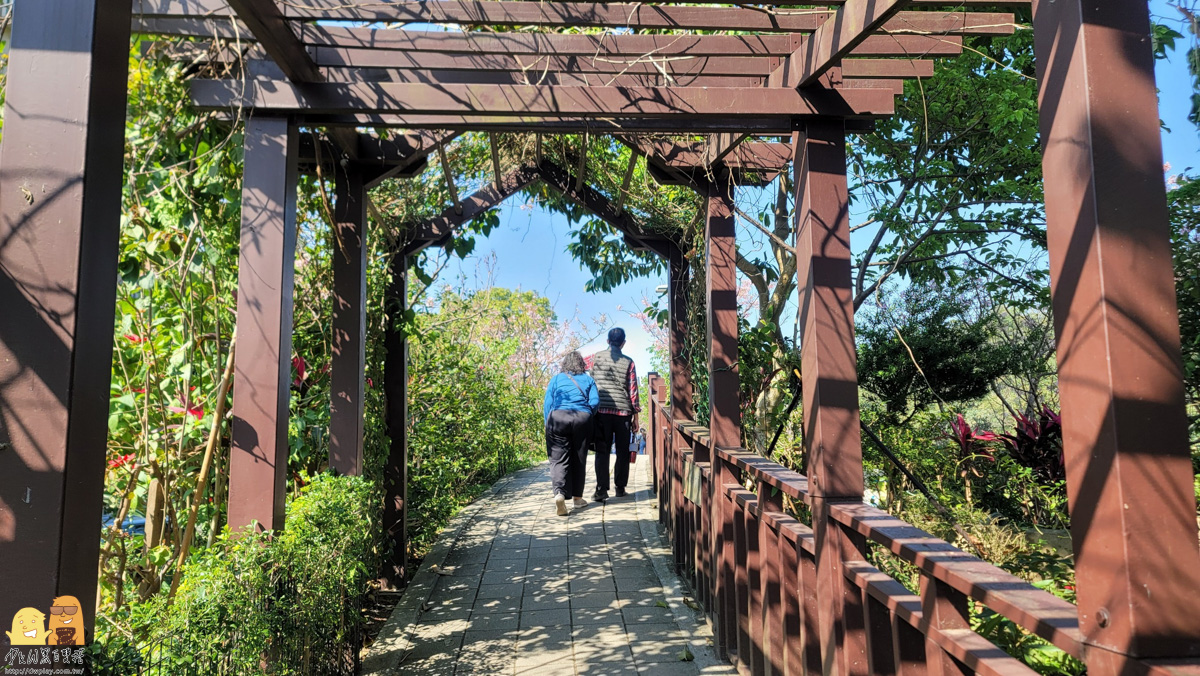 台北景點,台北櫻花,東湖捷運站,內湖好玩,櫻花