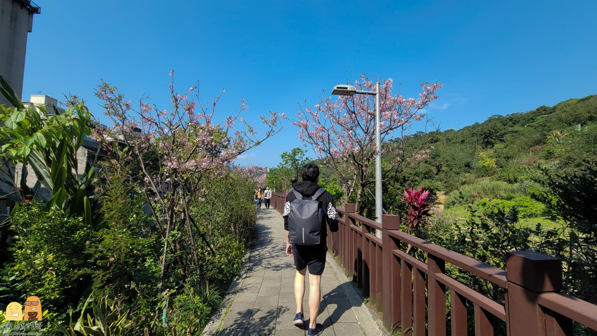 台北景點,台北櫻花,東湖捷運站,內湖好玩,櫻花