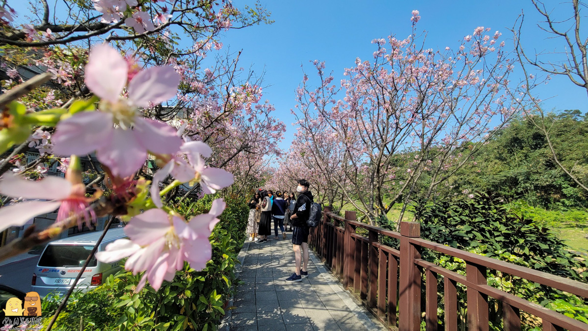 台北景點,台北櫻花,東湖捷運站,內湖好玩,櫻花