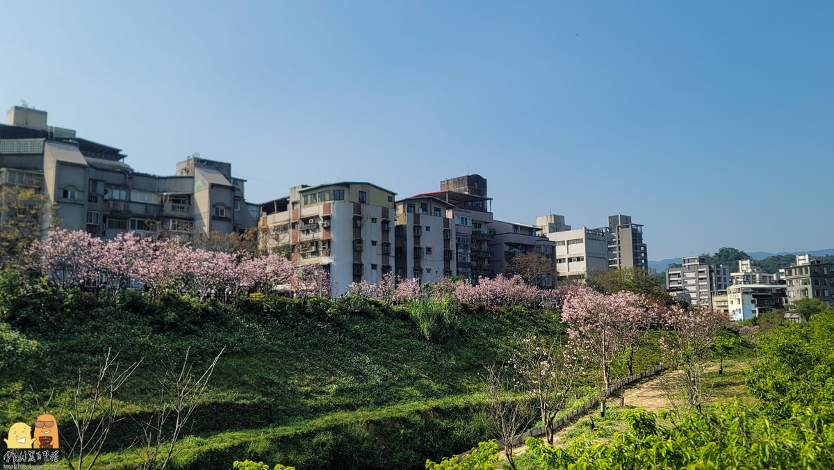 台北景點,台北櫻花,東湖捷運站,內湖好玩,櫻花