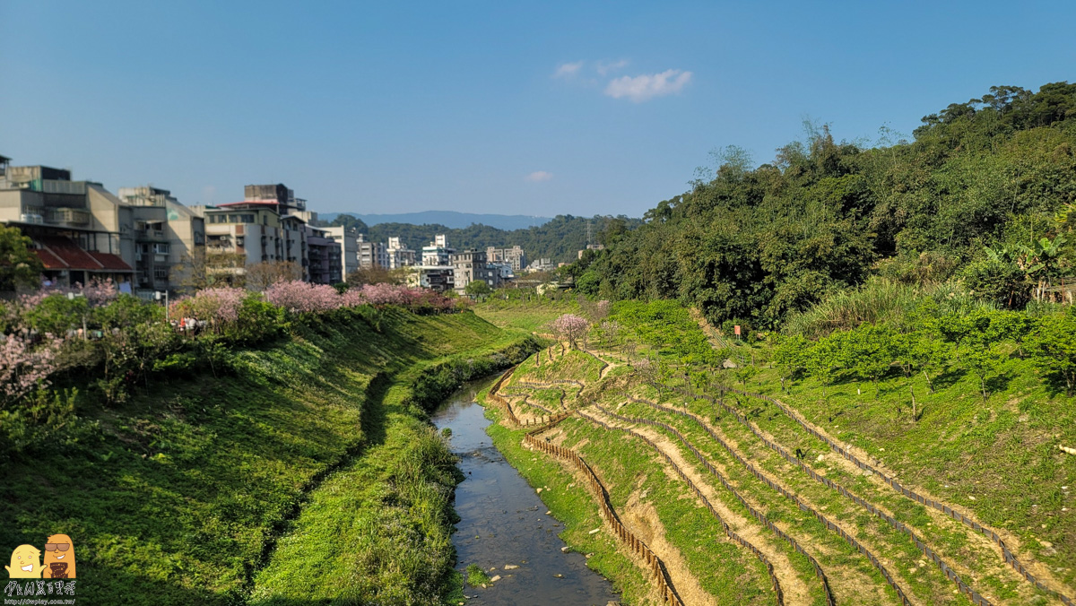 台北景點,台北櫻花,東湖捷運站,內湖好玩,櫻花