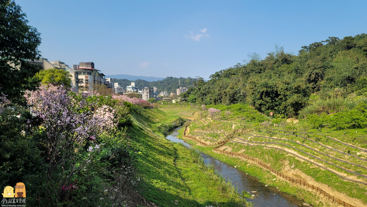 台北景點,台北櫻花,東湖捷運站,內湖好玩,櫻花