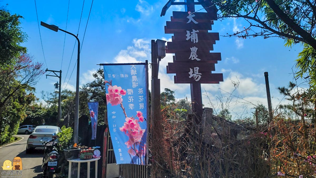 台北賞櫻,陽明山景點,櫻花,台北景點