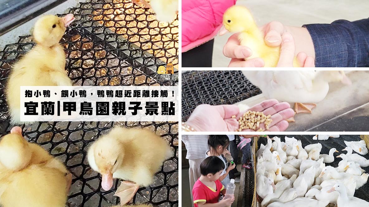 延伸閱讀：宜蘭親子景點推薦！抱小鴨、餵鴨鴨～跟小動物近距離接觸，全台最美清水模觀光農場甲鳥園！