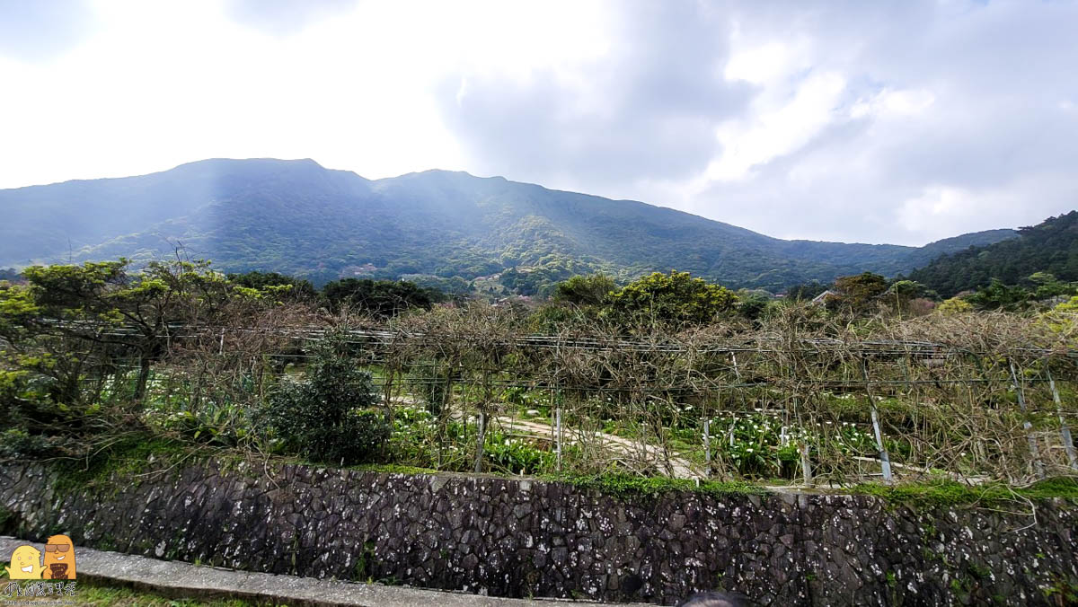 台北景點推薦,台北美食,台北景點,台北美食推薦,陽明山景點