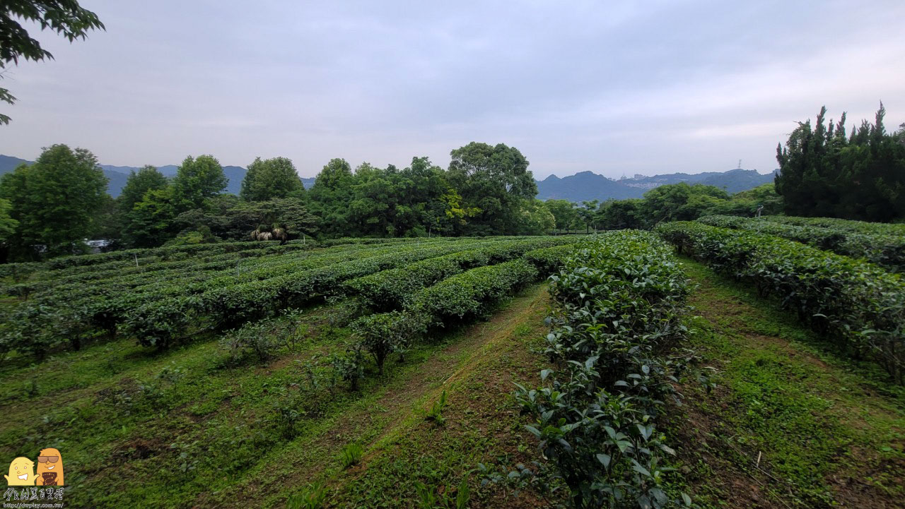 親子體驗,親子行程,親子景點,親子活動,賞螢,螢火蟲季,螢火蟲