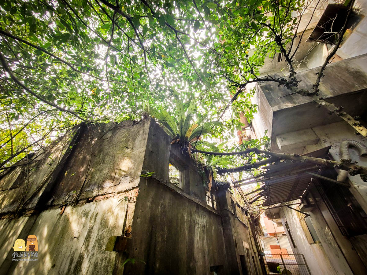 東和戲院遺址,廢墟景點,廢墟迷,售票亭,廢墟遺址,廢墟感,拍照