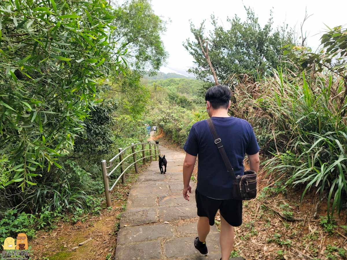 林口IG打卡景點!林口太平濱海步道,一望無際的山海景,360度觀景台必去!美不勝收~林口私人秘境推薦