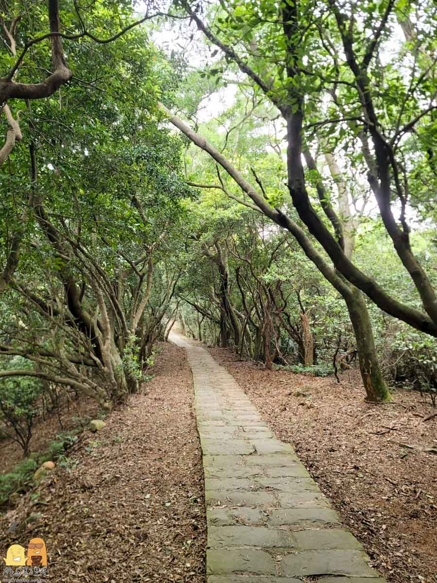 林口景點推薦,林口好玩,林口看海,林口步道,林口全家出遊,林口散心