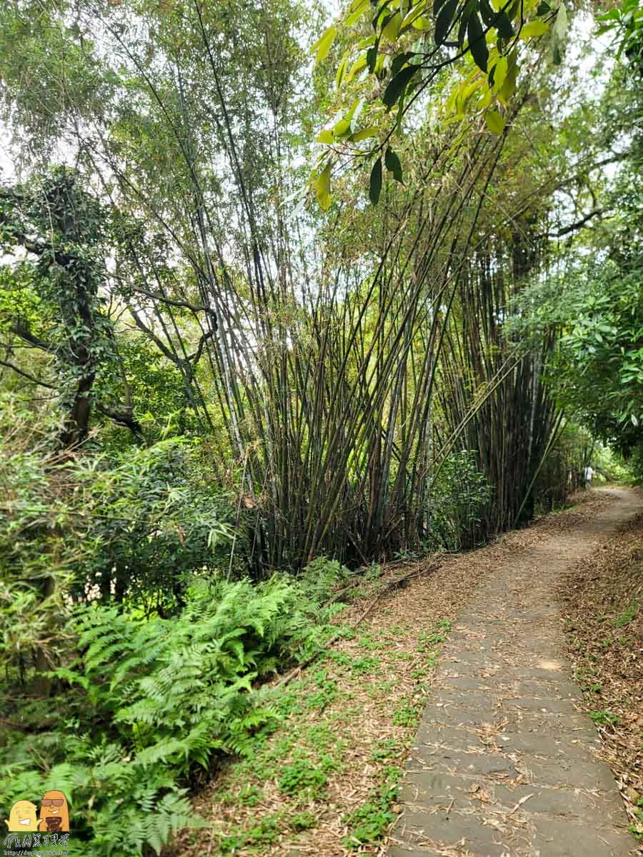 林口景點推薦,林口好玩,林口看海,林口步道,林口全家出遊,林口散心