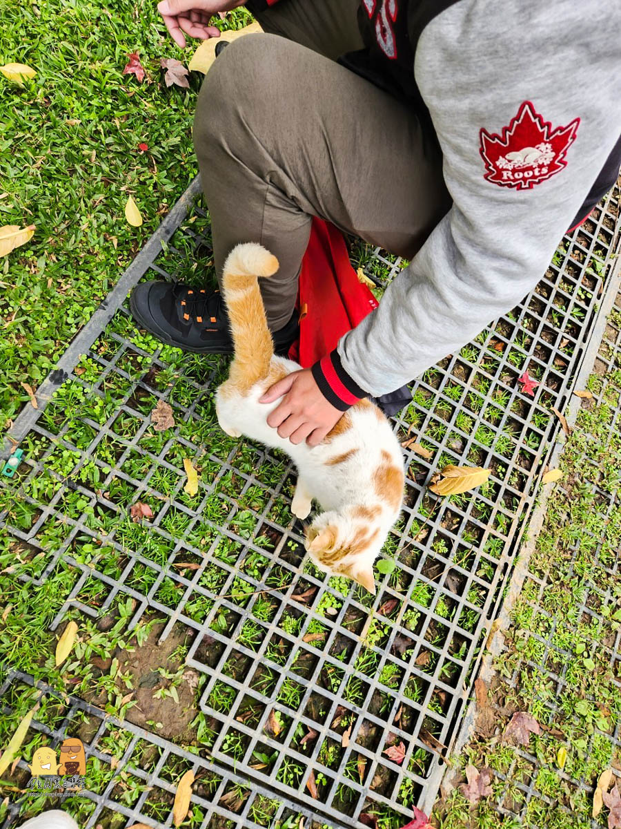 親子旅遊,露營,露營推薦,懶人露營,露營車,苗栗住宿,苗栗旅遊,露營車推薦