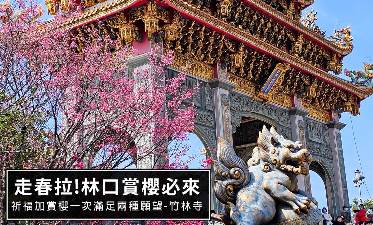 2024新年走春!過年祈福順便也來賞櫻!，到林口賞櫻就一定要到竹林寺!櫻花加廟宇真的很美