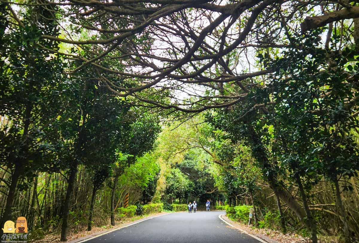 桃園景點,桃園親子景點