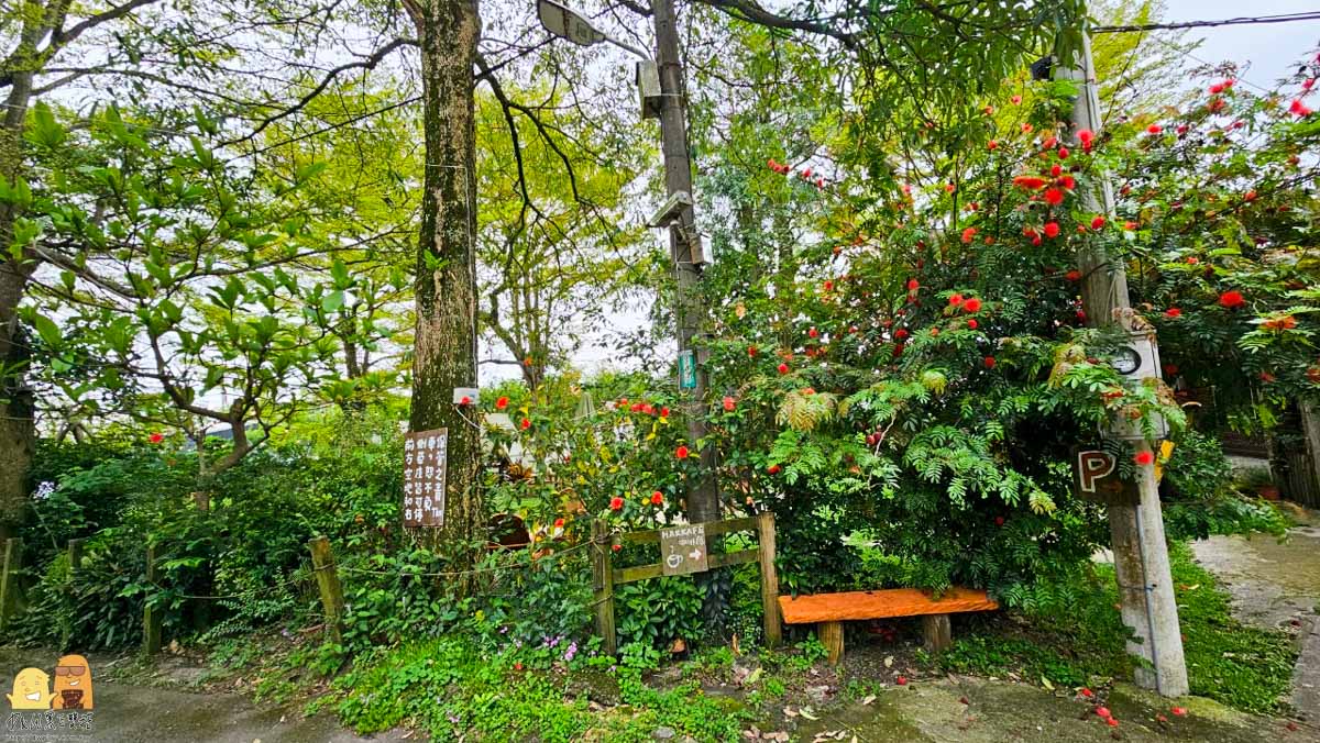 寵物友善,桃園餐廳,桃園下午茶,桃園不限時