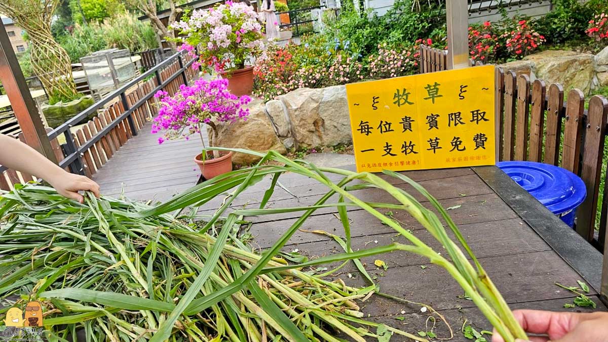 桃園親子景點,桃園景點,大溪景點