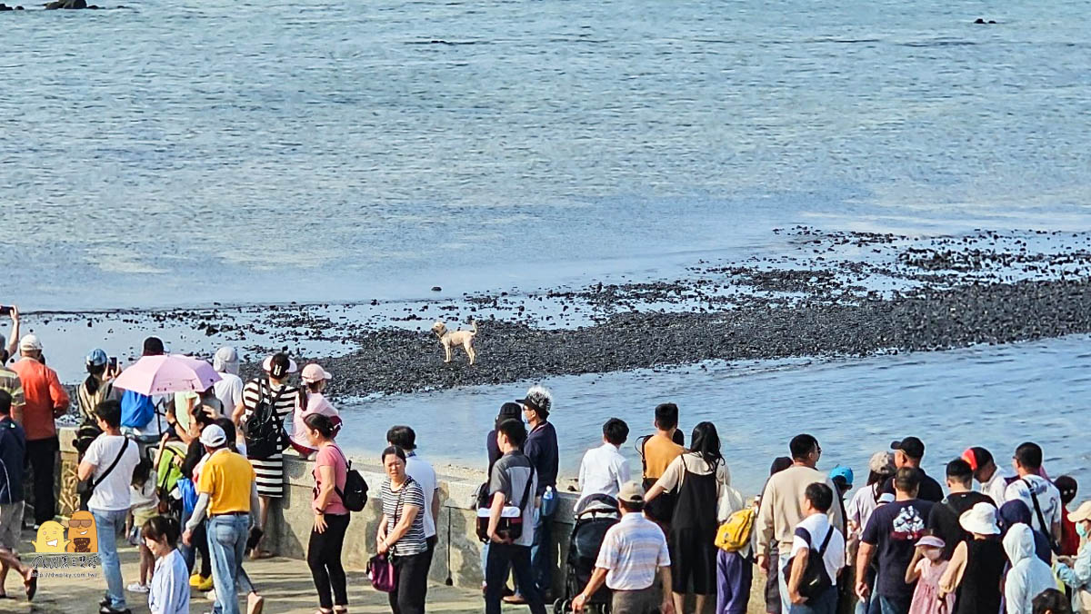 澎湖景點,親子景點