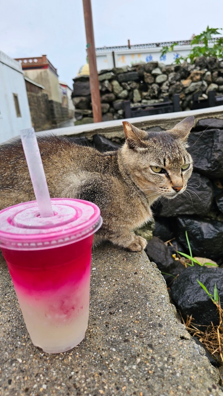 懶人包,澎湖景點,澎湖美食