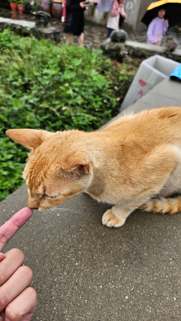 懶人包,澎湖景點,澎湖美食