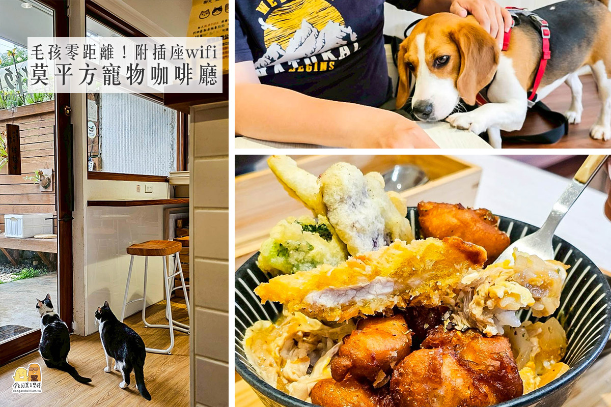 網站近期文章：桃園莫平方寵物咖啡廳｜店貓店狗超親人，隨便摸都沒問題！