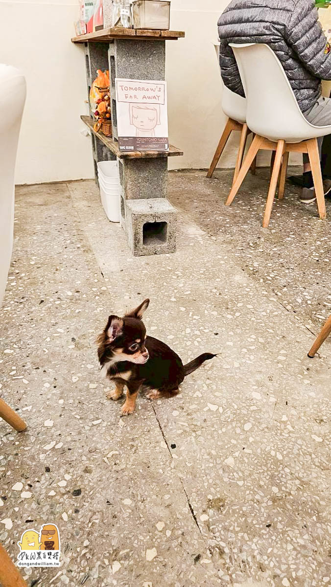 寵物餐廳,捷運咖啡廳,新北美食,寵物咖啡廳,捷運美食,台北捷運三重國小站,台北捷運台北橋站,新北咖啡廳,台北橋捷運站,三重國小捷運站