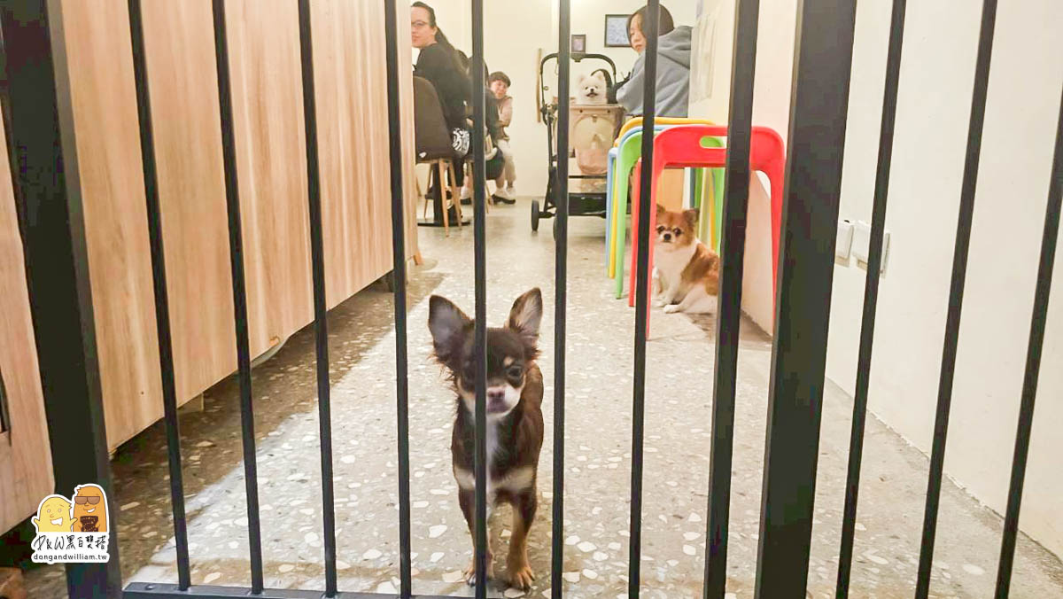 寵物餐廳,捷運咖啡廳,新北美食,寵物咖啡廳,捷運美食,台北捷運三重國小站,台北捷運台北橋站,新北咖啡廳,台北橋捷運站,三重國小捷運站