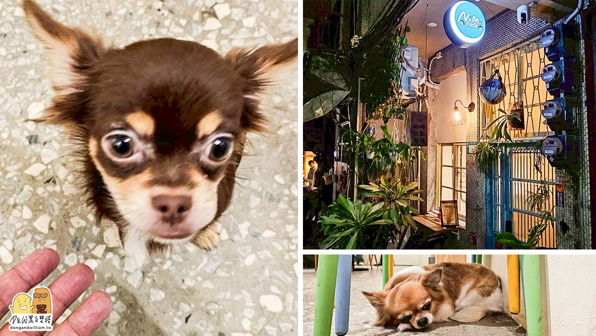 網站近期文章：超可愛！新北三重吉娃娃主題寵物餐廳 Nimo妮萌咖啡，超親人毛孩融化你心